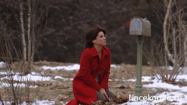 Кинозал автолюбителей