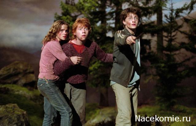 Кинозал автолюбителей