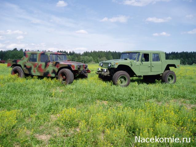 Болталка АЛ и АНС