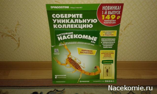 "Живой уголок"