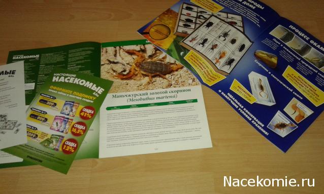 "Живой уголок"