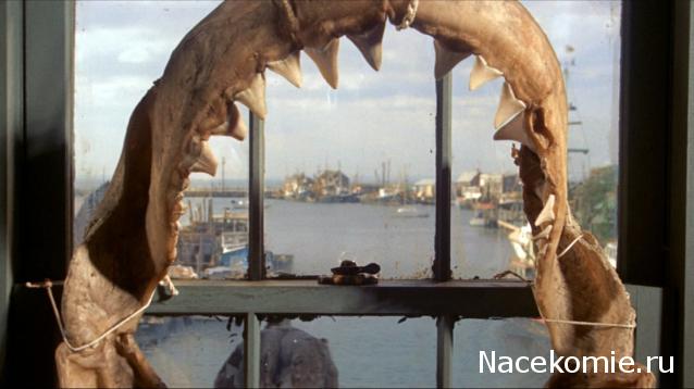 Кинозал автолюбителей