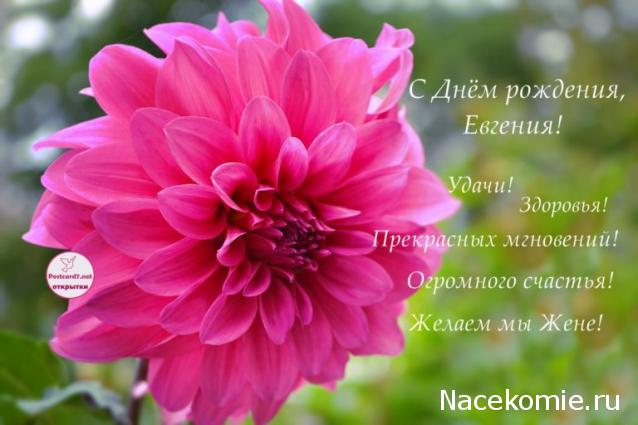 Наши Дни Рождения