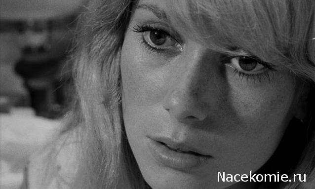 Кинозал автолюбителей