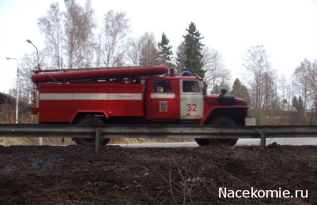 Автолегенды вживую