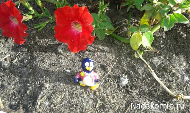 "Живой уголок"