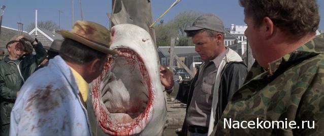 Кинозал автолюбителей