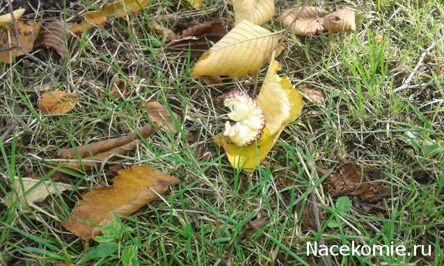 "Живой уголок"