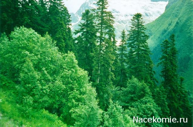 Куклы в народных костюмах – "Девчушки-болтушки"