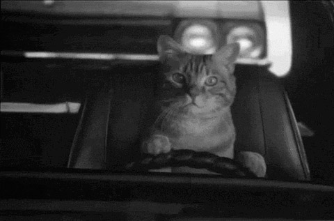 "Живой уголок"