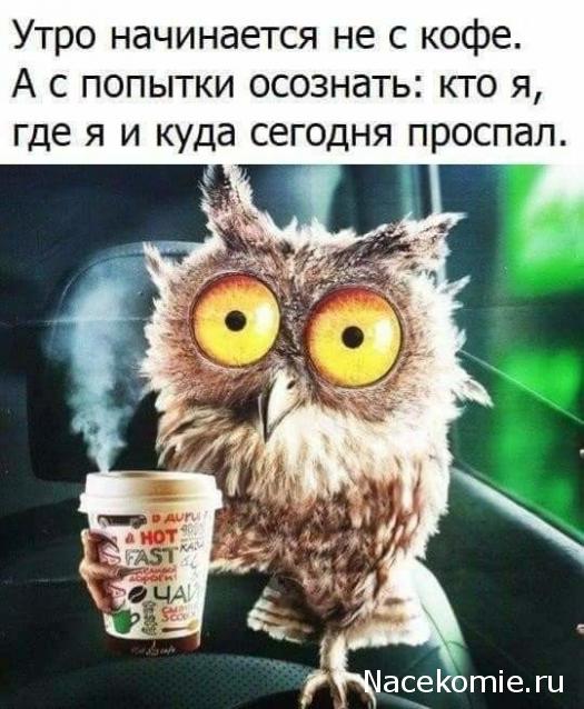 Кулинарный отдел