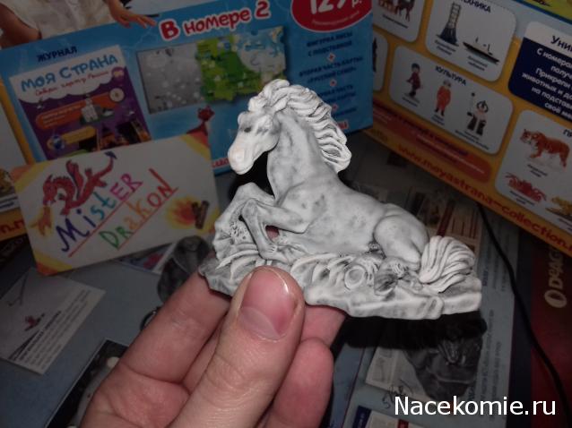 "Живой уголок"