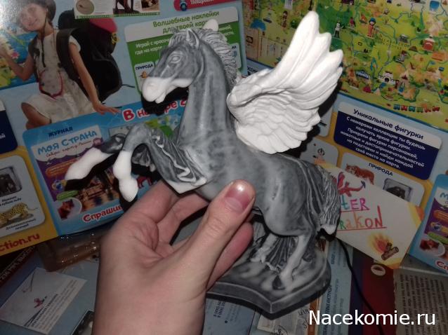 "Живой уголок"