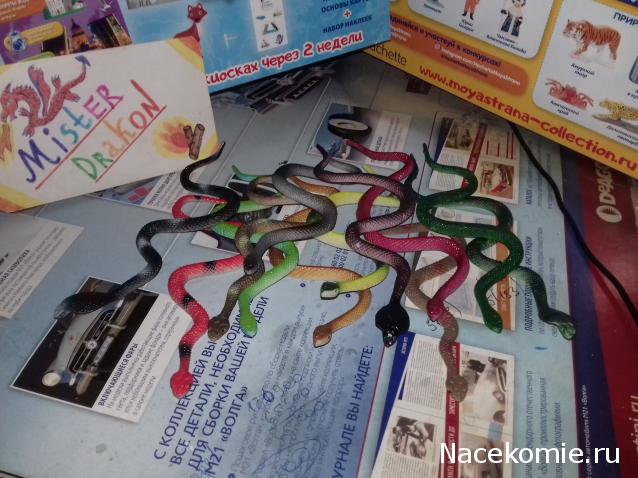 "Живой уголок"