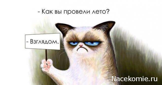 Тракторная болталка