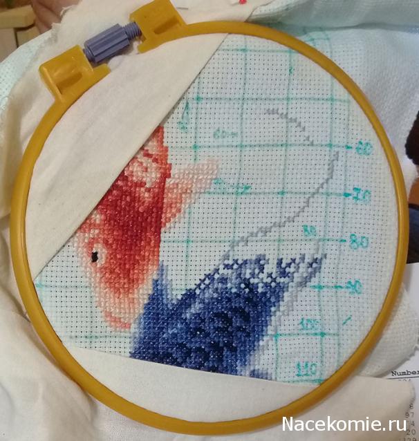 100 крестиков!