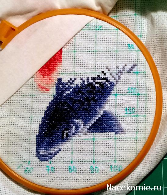 100 крестиков!