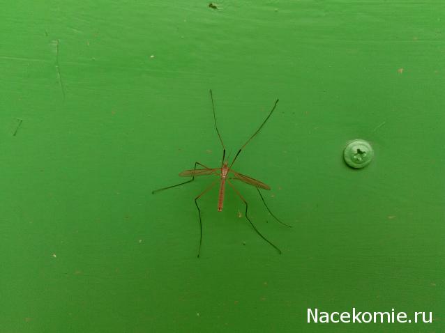 "Живой уголок"