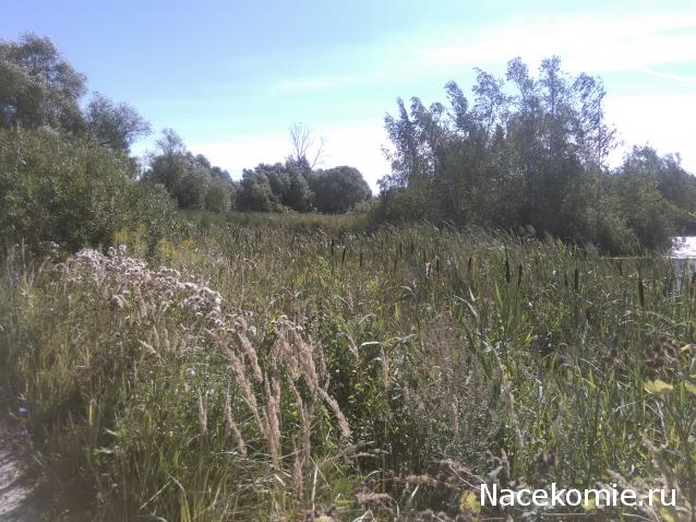 "Живой уголок"