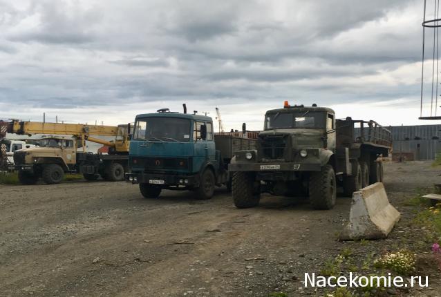 Автолегенды вживую