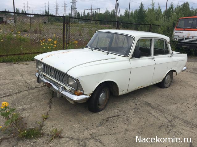 Автолегенды вживую