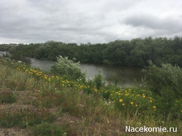 "Живой уголок"