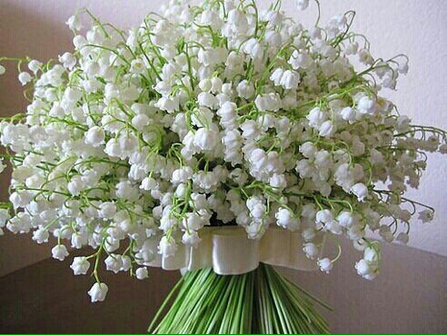 Наши Дни Рождения