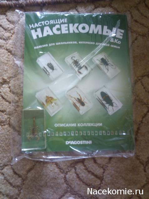 Насекомые & Ко - Обсуждение подписки и подарков к ней