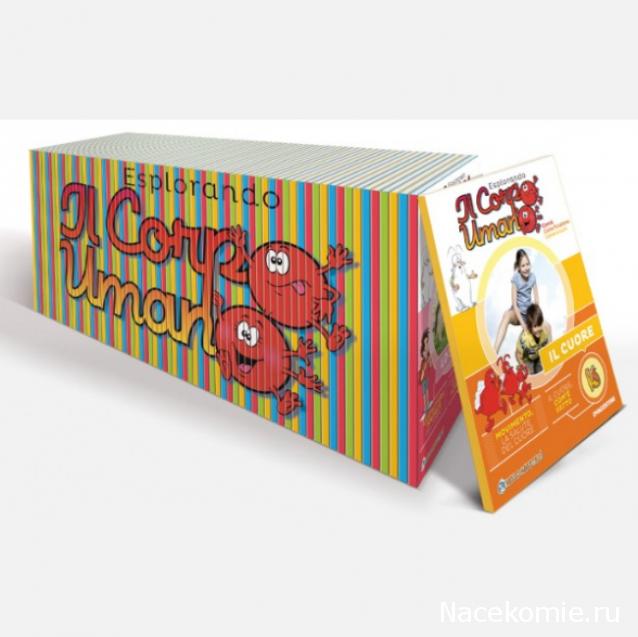 Тело Человека (DeAgostini) - График выхода и обсуждение