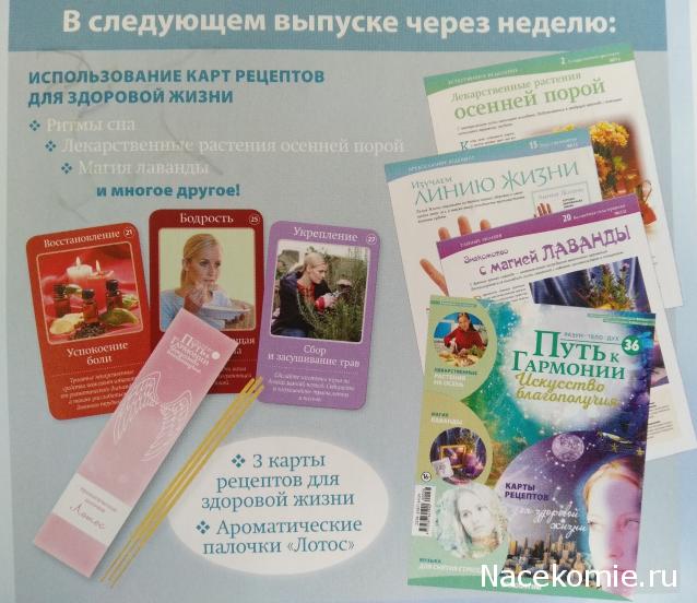 Путь к Гармонии. Искусство Благополучия №35
