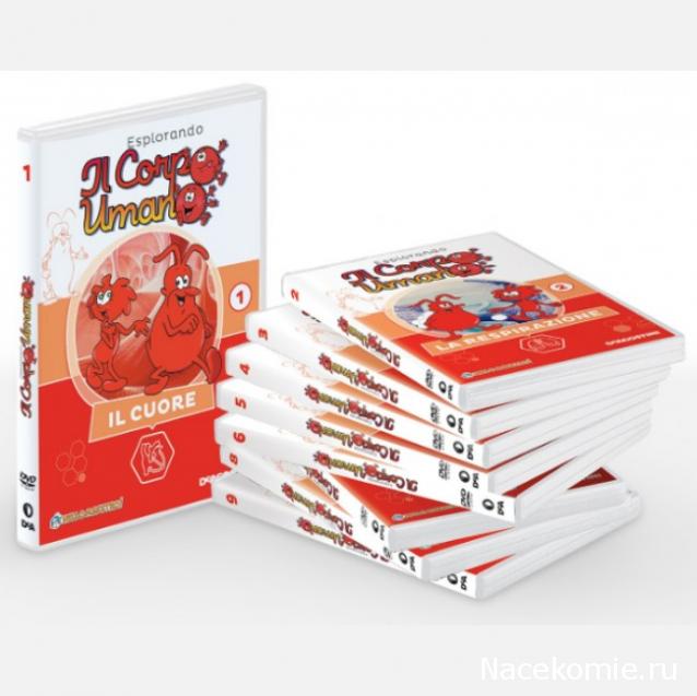 Тело Человека (DeAgostini) - График выхода и обсуждение