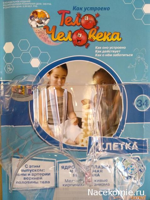 Тело Человека (DeAgostini) - График выхода и обсуждение