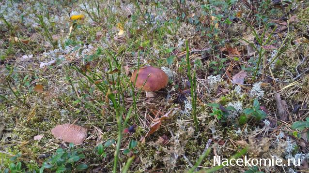 Мой любимый город или дорогие сердцу места