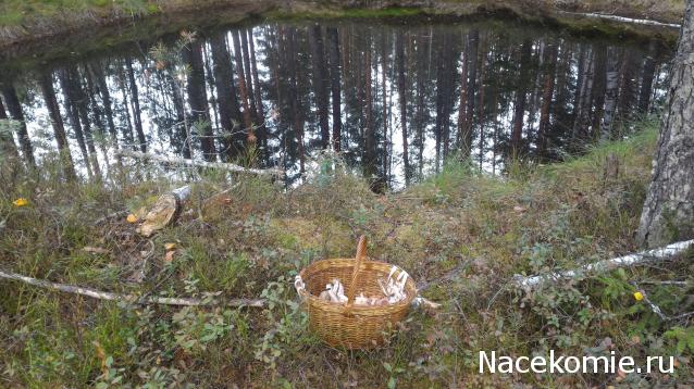 Мой любимый город или дорогие сердцу места