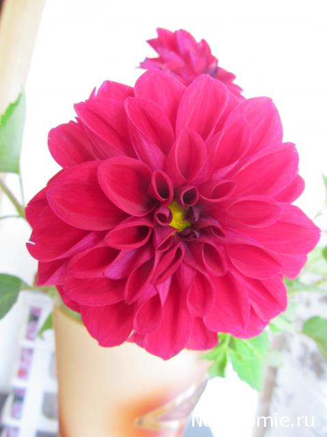 "Живой уголок"