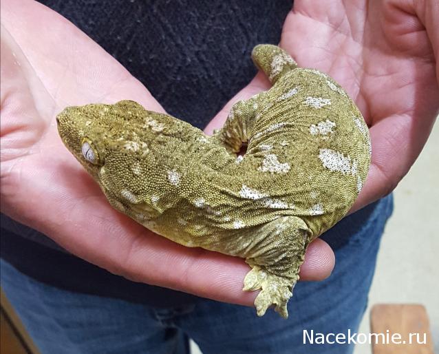 "Живой уголок"