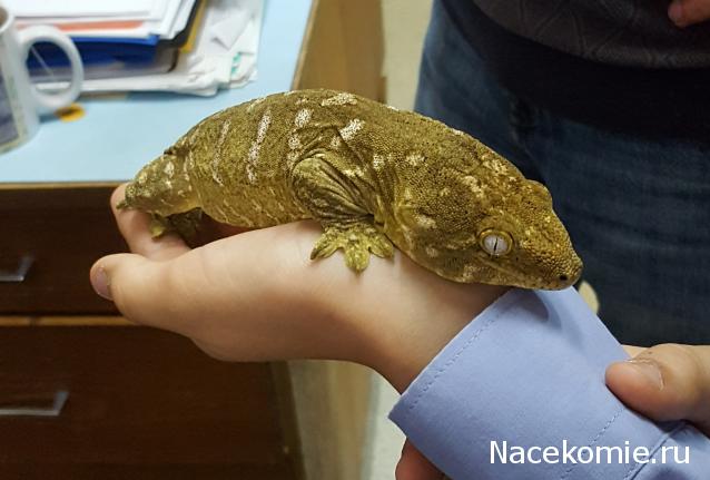 "Живой уголок"