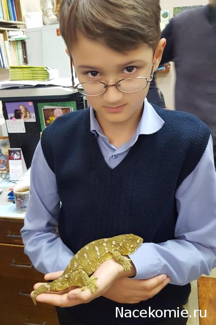 "Живой уголок"