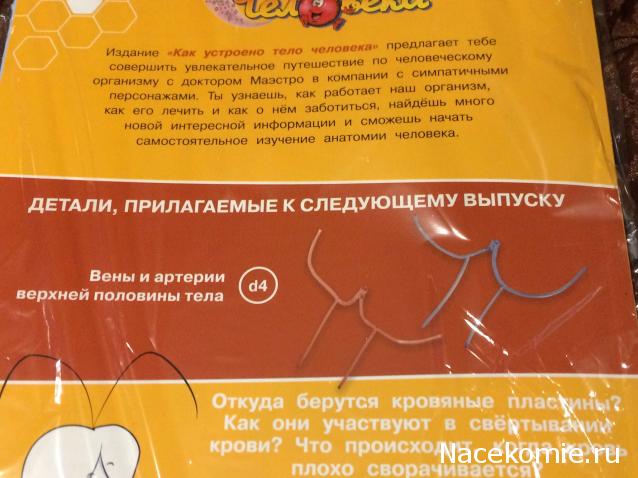 Тело Человека (DeAgostini) - График выхода и обсуждение