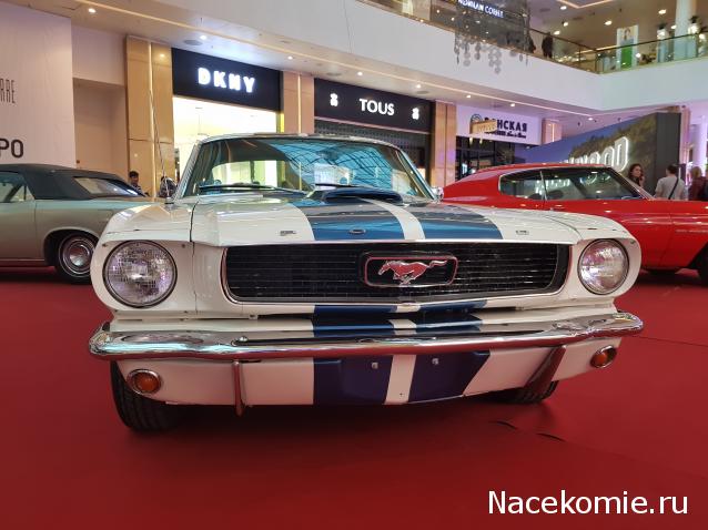 Автолегенды вживую