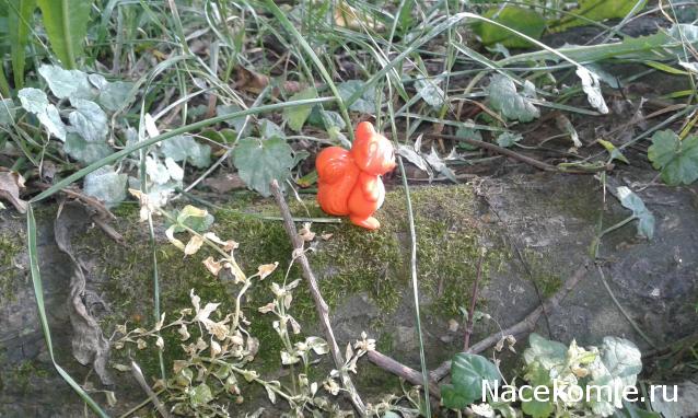 "Живой уголок"