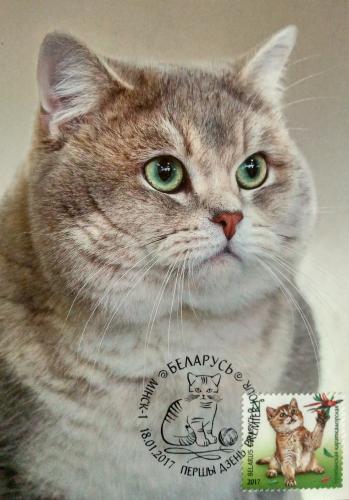 "Живой уголок"