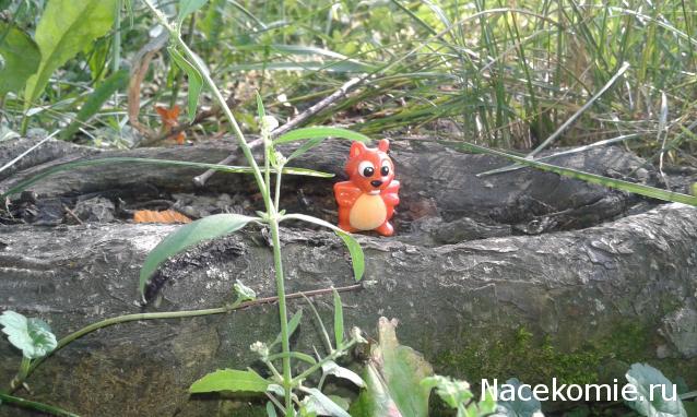 "Живой уголок"