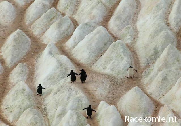 "Живой уголок"