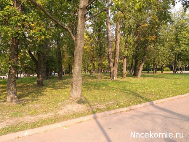 Мой любимый город или дорогие сердцу места