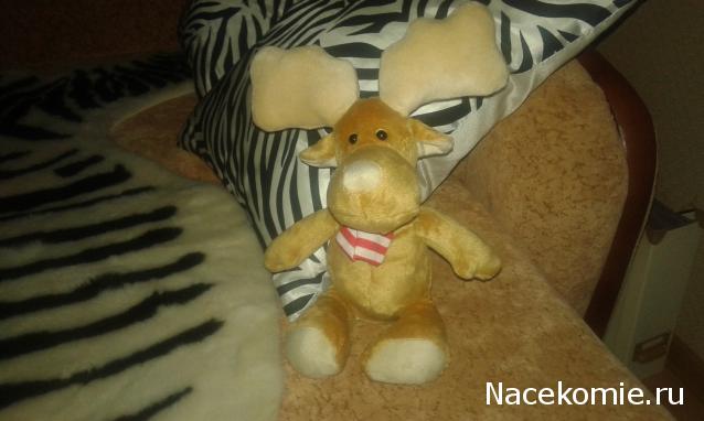 "Живой уголок"