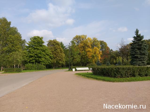 "Живой уголок"