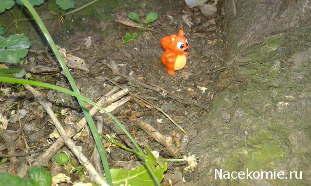 "Живой уголок"