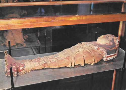 Тракторная болталка