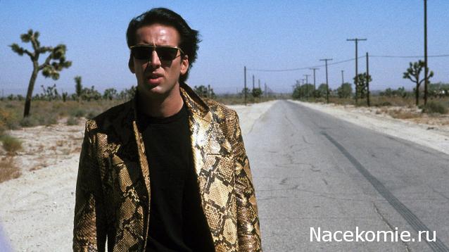 Кинозал автолюбителей